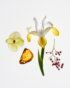 Doux + You Travel Spray