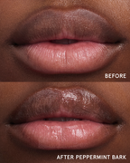 Sugar + Spice Balm Dotcom Duo