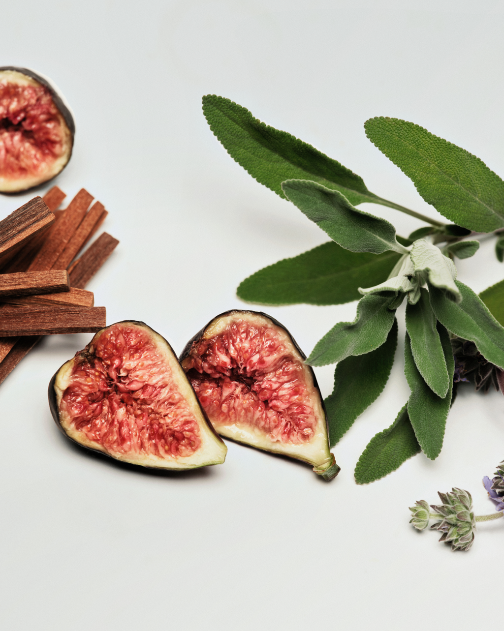 Daily Perfecting Lotion